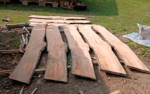 Holzbohlen auf einer Wiese – Foto aus dem Inserat „Apfelbaum Bohlen"