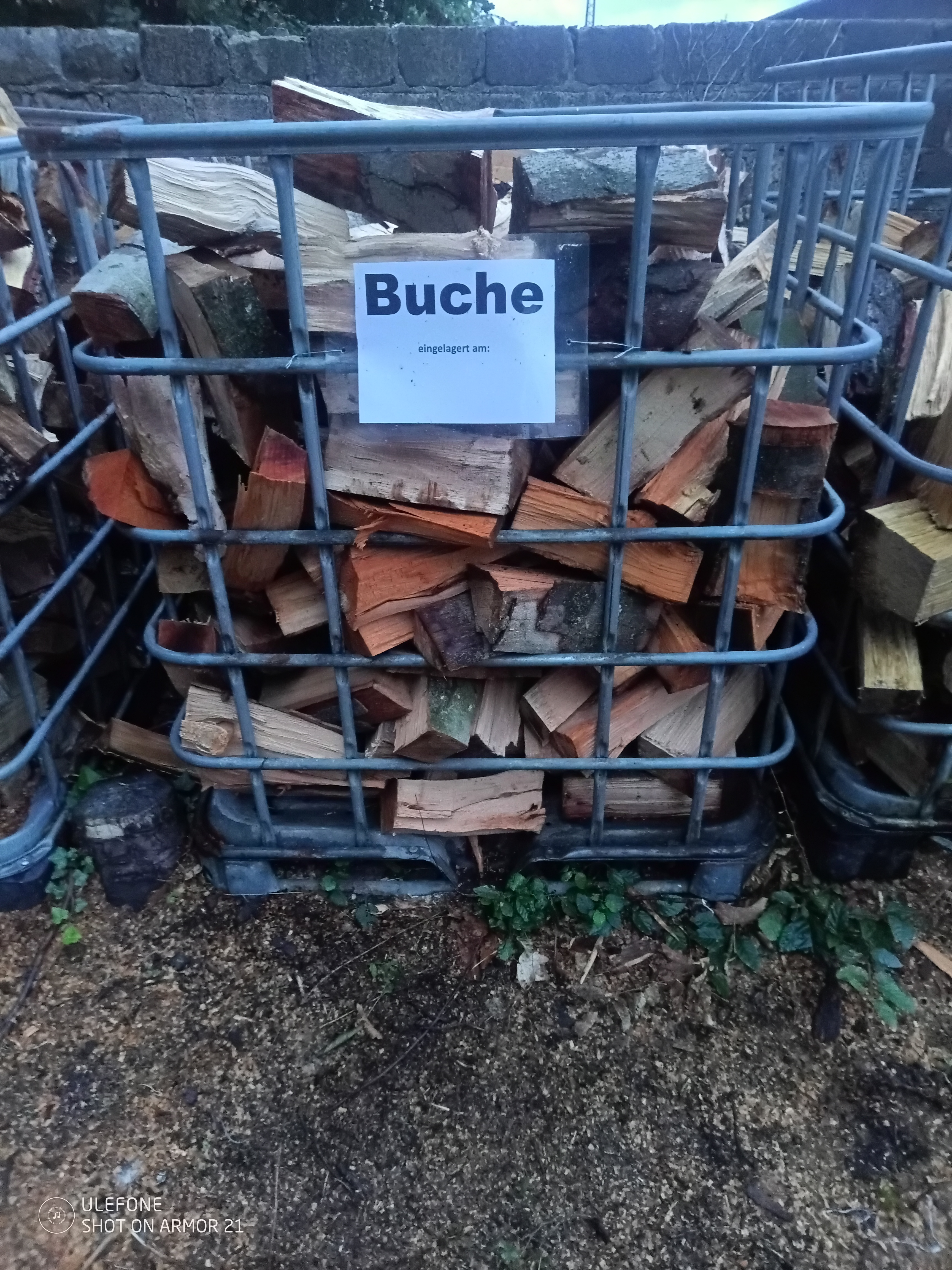 Brennholz, buche